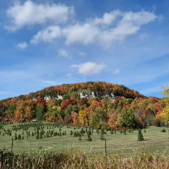 Meet your Posher, Marites - Picture 2 of 2